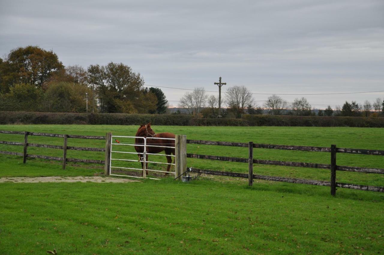 B&B Haras De La Cour Fleury Saint-Michel-de-Livet Exteriér fotografie