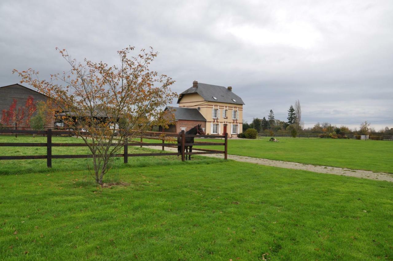 B&B Haras De La Cour Fleury Saint-Michel-de-Livet Exteriér fotografie